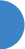 AgMRI blue-dot