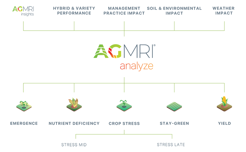 AGMRI Analyze Chart